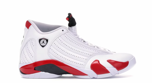Rip Hamilton Jordan 14 Retro