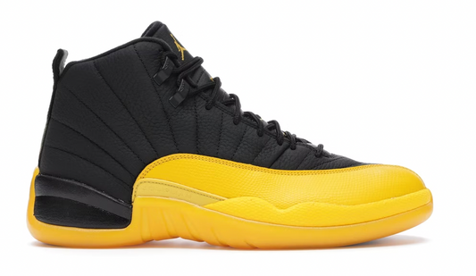 Black University Jordan 12