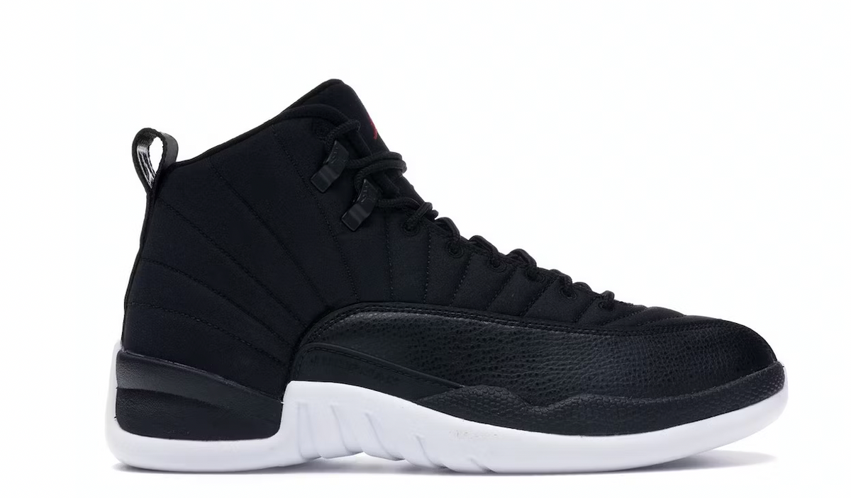 Nylon Jordan 12