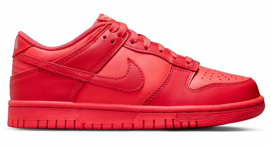 Nike Dunk Low Track Red (GS)